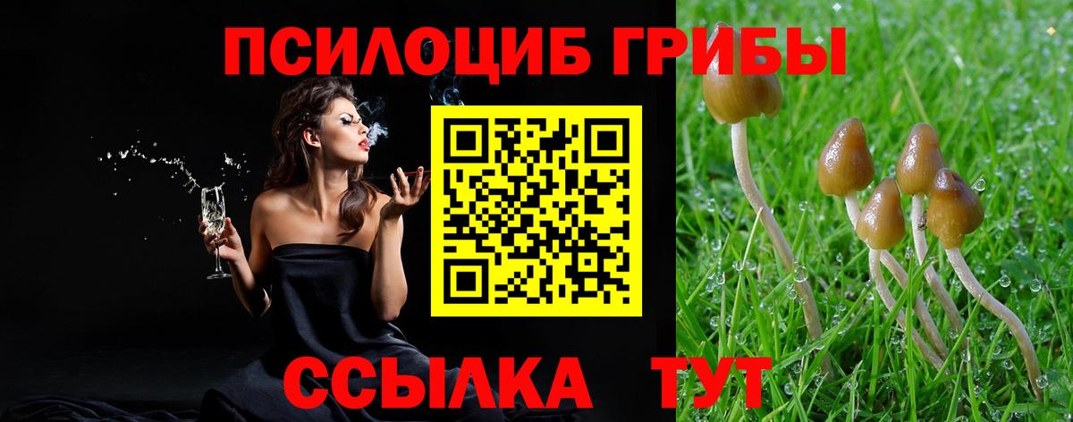 Псилоцибиновые грибы прущие грибы  Вход с VPN  Галлюциногенные грибы Psilocybine cubensis  где можно купить наркотик  Котлас 